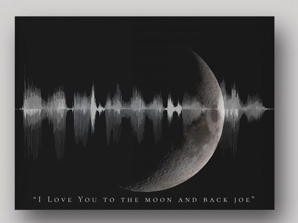 I love you to the moon and back soundwave