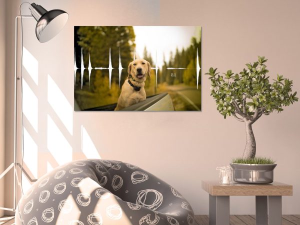 Dog Bark Soundwave with Photo