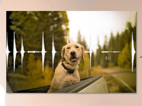 Dog Bark Soundwave with Photo